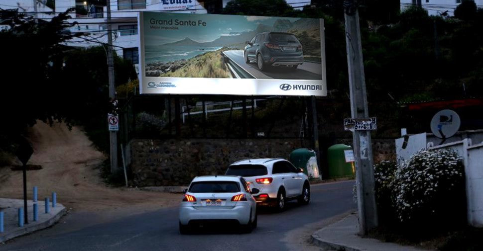 Back Light Maitencillo